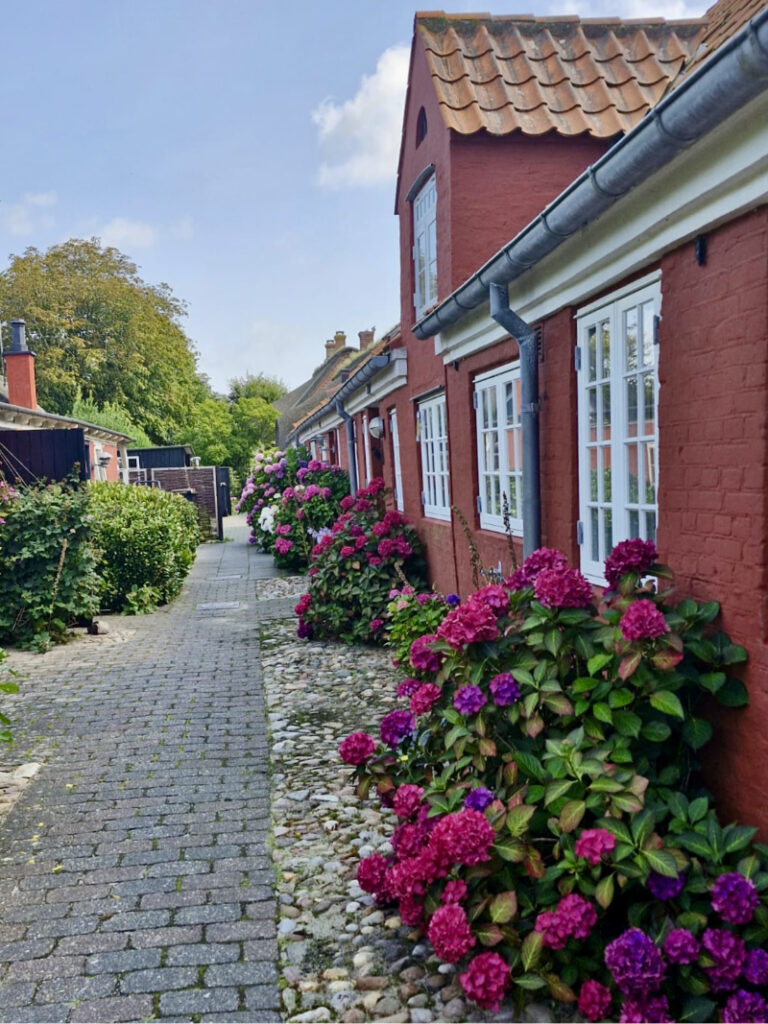 Dänischkurse auf dänischen Inseln und in Kopenhagen